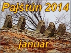 Pajstun 2014